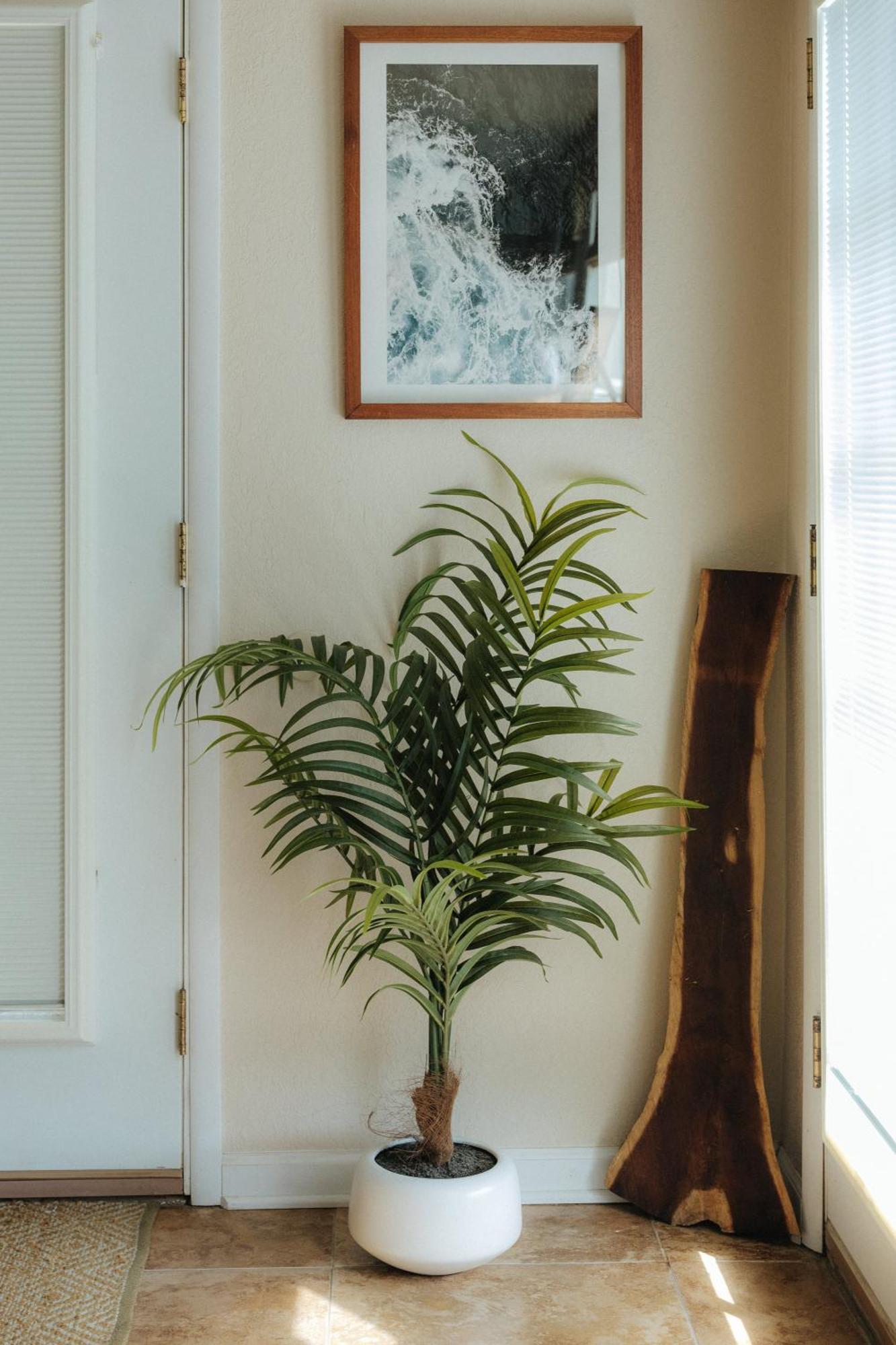 Appartement The Ohia At The Koi House à Kailua-Kona Extérieur photo